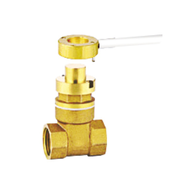 表前加密防盗铜闸阀