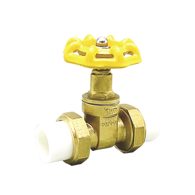 双头活接铜闸阀